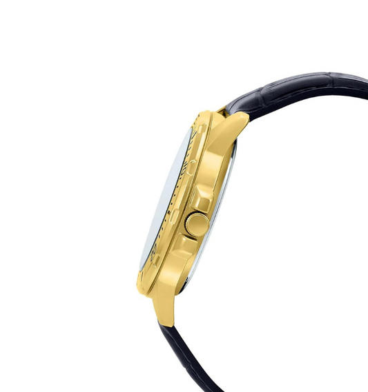 CASIO MTP-VD01GL-1EVDF